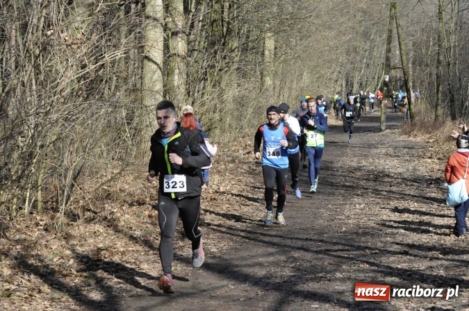 Zdjęcie w galerii na portalu naszraciborz.pl: VI Bieg Twardziela. Piękna pogoda, trudna trasa, rekordowa liczba uczestników wiadomości z regionu
