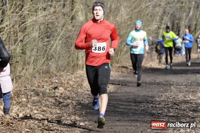 Zdjęcie w galerii na portalu naszraciborz.pl: VI Bieg Twardziela. Piękna pogoda, trudna trasa, rekordowa liczba uczestników wiadomości z regionu