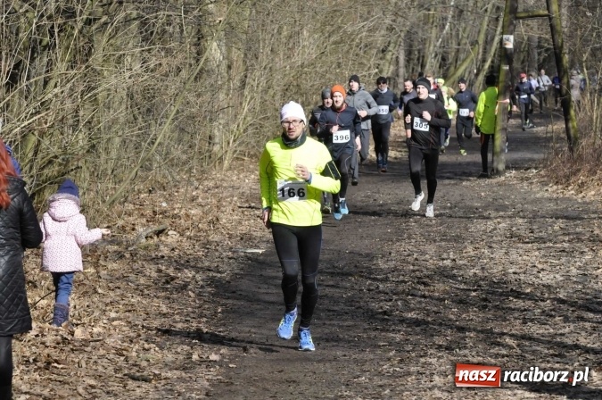 Zdjęcie w galerii na portalu naszraciborz.pl: VI Bieg Twardziela. Piękna pogoda, trudna trasa, rekordowa liczba uczestników wiadomości z regionu
