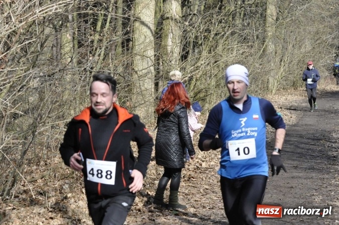 Zdjęcie w galerii na portalu naszraciborz.pl: VI Bieg Twardziela. Piękna pogoda, trudna trasa, rekordowa liczba uczestników wiadomości z regionu