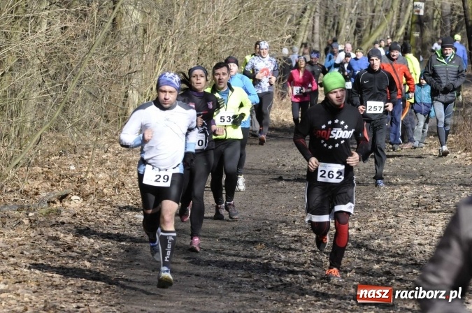 Zdjęcie w galerii na portalu naszraciborz.pl: VI Bieg Twardziela. Piękna pogoda, trudna trasa, rekordowa liczba uczestników wiadomości z regionu