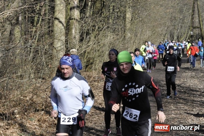 Zdjęcie w galerii na portalu naszraciborz.pl: VI Bieg Twardziela. Piękna pogoda, trudna trasa, rekordowa liczba uczestników wiadomości z regionu