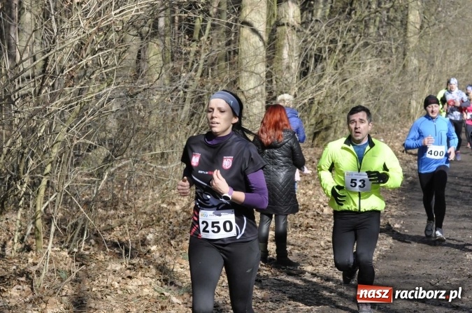 Zdjęcie w galerii na portalu naszraciborz.pl: VI Bieg Twardziela. Piękna pogoda, trudna trasa, rekordowa liczba uczestników wiadomości z regionu