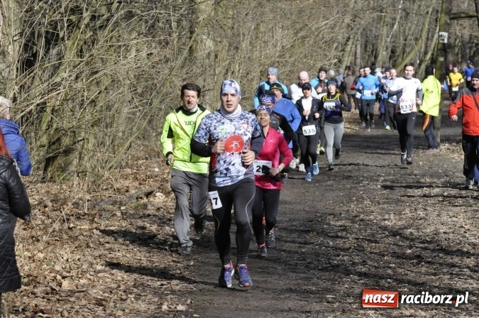 Zdjęcie w galerii na portalu naszraciborz.pl: VI Bieg Twardziela. Piękna pogoda, trudna trasa, rekordowa liczba uczestników wiadomości z regionu
