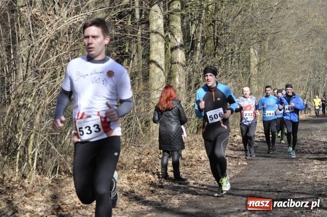 Zdjęcie w galerii na portalu naszraciborz.pl: VI Bieg Twardziela. Piękna pogoda, trudna trasa, rekordowa liczba uczestników wiadomości z regionu