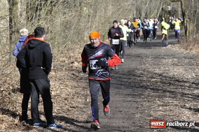 Zdjęcie w galerii na portalu naszraciborz.pl: VI Bieg Twardziela. Piękna pogoda, trudna trasa, rekordowa liczba uczestników wiadomości z regionu
