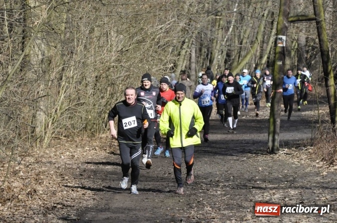 Zdjęcie w galerii na portalu naszraciborz.pl: VI Bieg Twardziela. Piękna pogoda, trudna trasa, rekordowa liczba uczestników wiadomości z regionu