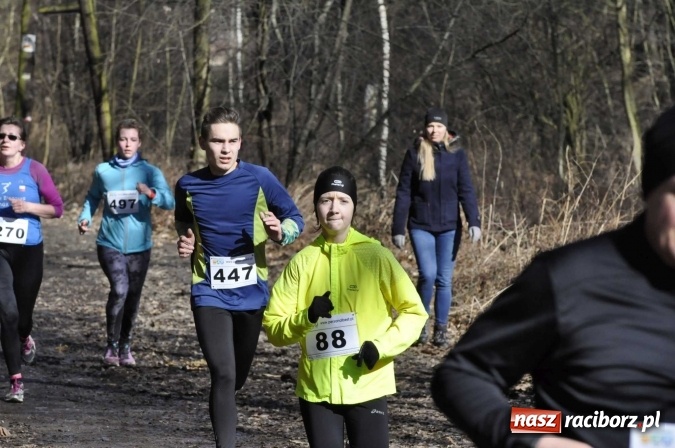 Zdjęcie w galerii na portalu naszraciborz.pl: VI Bieg Twardziela. Piękna pogoda, trudna trasa, rekordowa liczba uczestników wiadomości z regionu