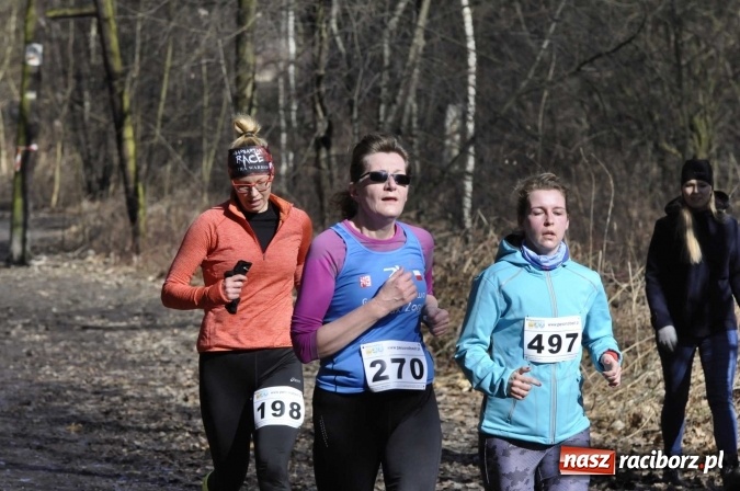 Zdjęcie w galerii na portalu naszraciborz.pl: VI Bieg Twardziela. Piękna pogoda, trudna trasa, rekordowa liczba uczestników wiadomości z regionu