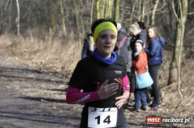 Zdjęcie w galerii na portalu naszraciborz.pl: VI Bieg Twardziela. Piękna pogoda, trudna trasa, rekordowa liczba uczestników wiadomości z regionu
