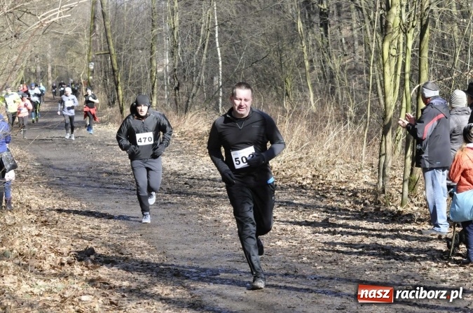 Zdjęcie w galerii na portalu naszraciborz.pl: VI Bieg Twardziela. Piękna pogoda, trudna trasa, rekordowa liczba uczestników wiadomości z regionu