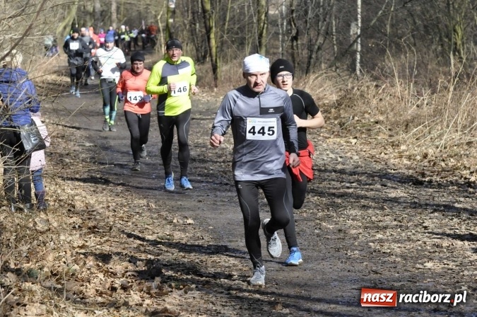 Zdjęcie w galerii na portalu naszraciborz.pl: VI Bieg Twardziela. Piękna pogoda, trudna trasa, rekordowa liczba uczestników wiadomości z regionu