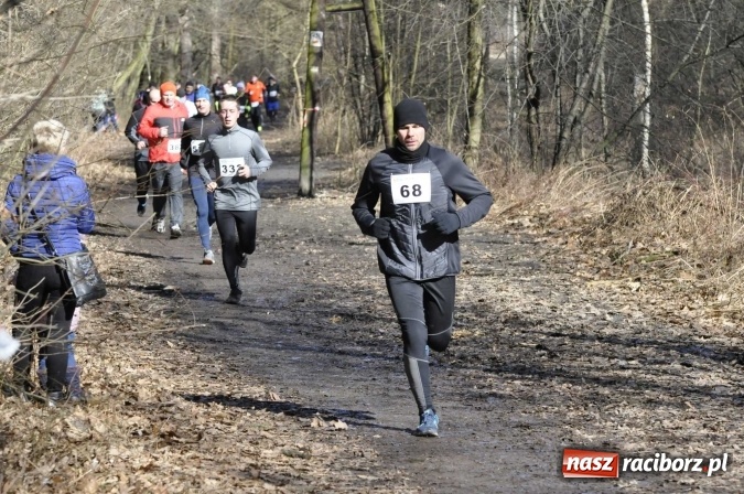 Zdjęcie w galerii na portalu naszraciborz.pl: VI Bieg Twardziela. Piękna pogoda, trudna trasa, rekordowa liczba uczestników wiadomości z regionu