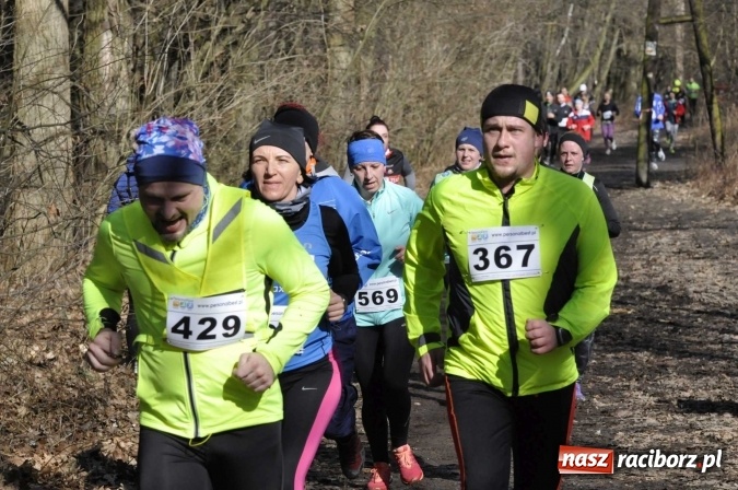 Zdjęcie w galerii na portalu naszraciborz.pl: VI Bieg Twardziela. Piękna pogoda, trudna trasa, rekordowa liczba uczestników wiadomości z regionu