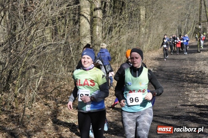Zdjęcie w galerii na portalu naszraciborz.pl: VI Bieg Twardziela. Piękna pogoda, trudna trasa, rekordowa liczba uczestników wiadomości z regionu