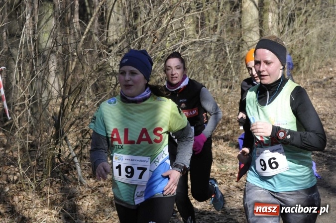 Zdjęcie w galerii na portalu naszraciborz.pl: VI Bieg Twardziela. Piękna pogoda, trudna trasa, rekordowa liczba uczestników wiadomości z regionu