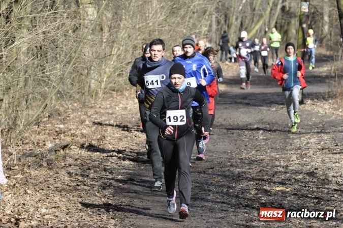 Zdjęcie w galerii na portalu naszraciborz.pl: VI Bieg Twardziela. Piękna pogoda, trudna trasa, rekordowa liczba uczestników wiadomości z regionu