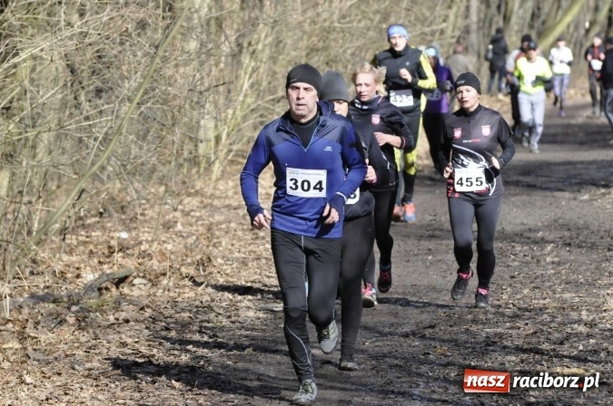 Zdjęcie w galerii na portalu naszraciborz.pl: VI Bieg Twardziela. Piękna pogoda, trudna trasa, rekordowa liczba uczestników wiadomości z regionu