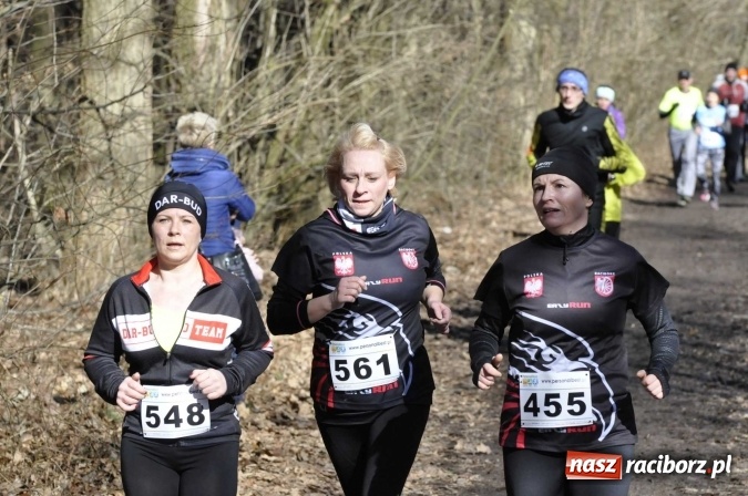 Zdjęcie w galerii na portalu naszraciborz.pl: VI Bieg Twardziela. Piękna pogoda, trudna trasa, rekordowa liczba uczestników wiadomości z regionu