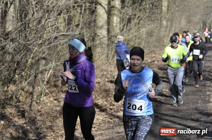 Zdjęcie w galerii na portalu naszraciborz.pl: VI Bieg Twardziela. Piękna pogoda, trudna trasa, rekordowa liczba uczestników wiadomości z regionu