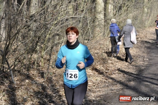 Zdjęcie w galerii na portalu naszraciborz.pl: VI Bieg Twardziela. Piękna pogoda, trudna trasa, rekordowa liczba uczestników wiadomości z regionu