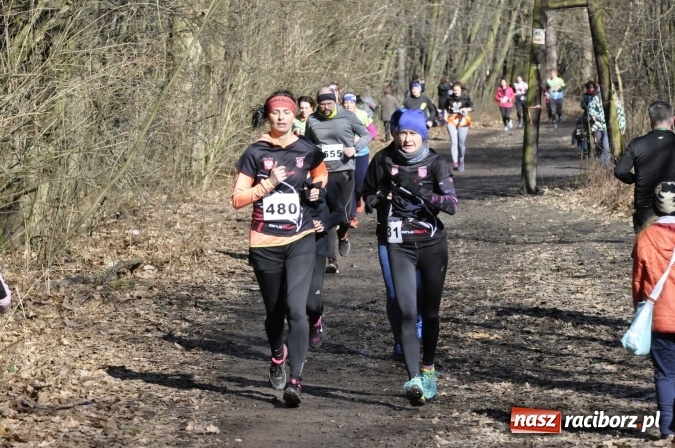 Zdjęcie w galerii na portalu naszraciborz.pl: VI Bieg Twardziela. Piękna pogoda, trudna trasa, rekordowa liczba uczestników wiadomości z regionu