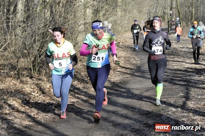 Zdjęcie w galerii na portalu naszraciborz.pl: VI Bieg Twardziela. Piękna pogoda, trudna trasa, rekordowa liczba uczestników wiadomości z regionu