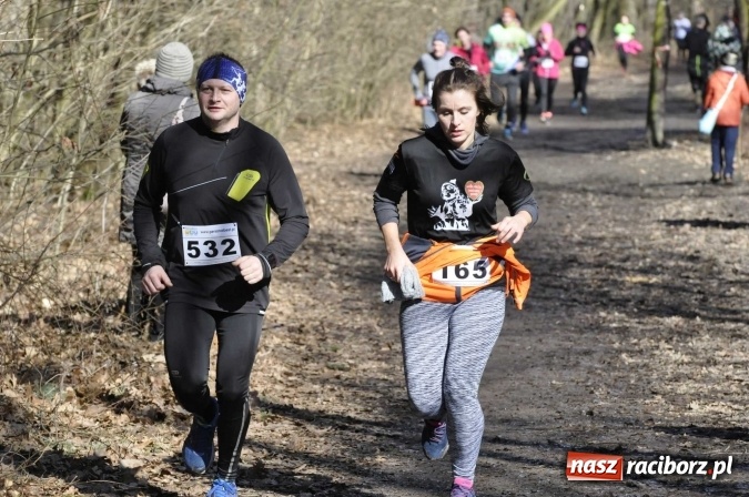 Zdjęcie w galerii na portalu naszraciborz.pl: VI Bieg Twardziela. Piękna pogoda, trudna trasa, rekordowa liczba uczestników wiadomości z regionu