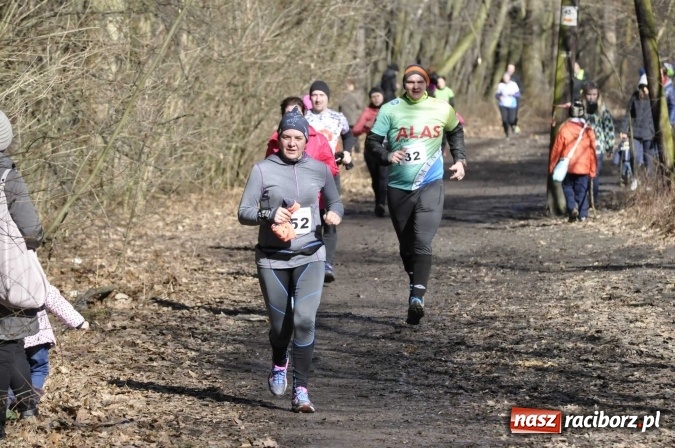 Zdjęcie w galerii na portalu naszraciborz.pl: VI Bieg Twardziela. Piękna pogoda, trudna trasa, rekordowa liczba uczestników wiadomości z regionu