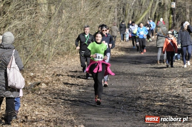 Zdjęcie w galerii na portalu naszraciborz.pl: VI Bieg Twardziela. Piękna pogoda, trudna trasa, rekordowa liczba uczestników wiadomości z regionu