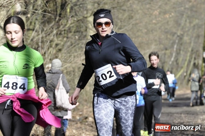 Zdjęcie w galerii na portalu naszraciborz.pl: VI Bieg Twardziela. Piękna pogoda, trudna trasa, rekordowa liczba uczestników wiadomości z regionu