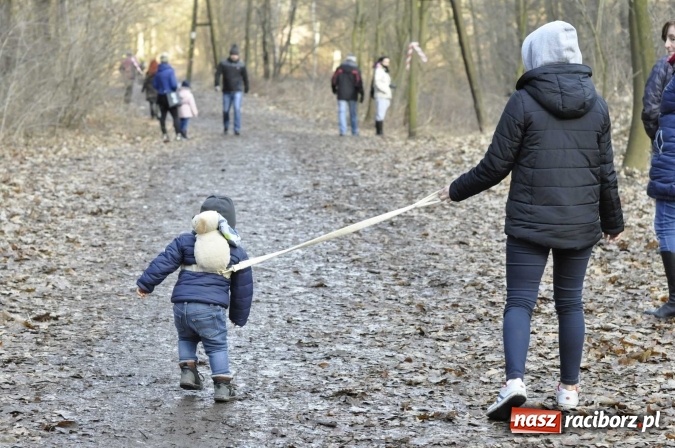 Zdjęcie w galerii na portalu naszraciborz.pl: VI Bieg Twardziela. Piękna pogoda, trudna trasa, rekordowa liczba uczestników wiadomości z regionu