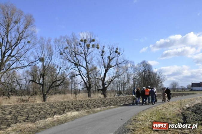 Zdjęcie w galerii na portalu naszraciborz.pl: W parafii Sławików wodzą dziś niedźwiedzia FOTO i WIDEO wiadomości z regionu