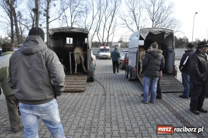 Zdjęcie w galerii na portalu naszraciborz.pl: Pietrowicki targ staroci z coraz większą frekwencją  wiadomości z regionu