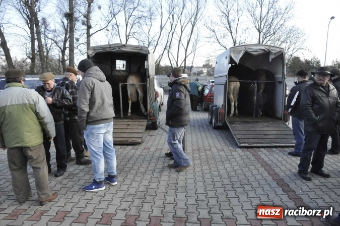 Zdjęcie w galerii na portalu naszraciborz.pl: Pietrowicki targ staroci z coraz większą frekwencją  wiadomości z regionu