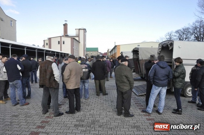 Zdjęcie w galerii na portalu naszraciborz.pl: Pietrowicki targ staroci z coraz większą frekwencją  wiadomości z regionu