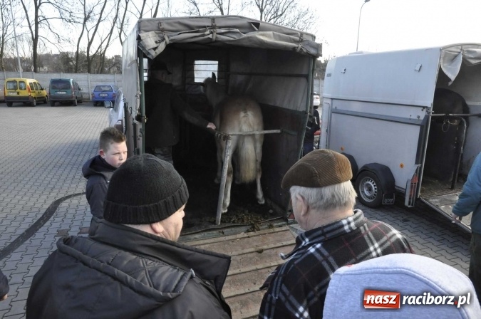 Zdjęcie w galerii na portalu naszraciborz.pl: Pietrowicki targ staroci z coraz większą frekwencją  wiadomości z regionu