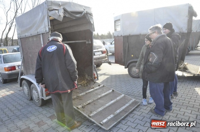 Zdjęcie w galerii na portalu naszraciborz.pl: Pietrowicki targ staroci z coraz większą frekwencją  wiadomości z regionu