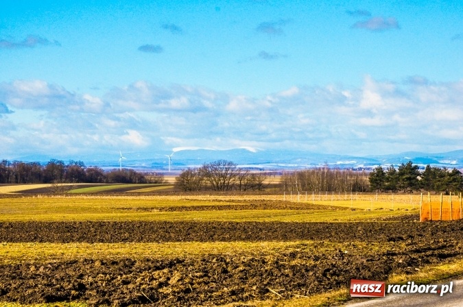 Zdjęcie w galerii na portalu naszraciborz.pl: Po smogu ani śladu. Piękne widoki z okolic Raciborza na Jesioniki wiadomości z regionu