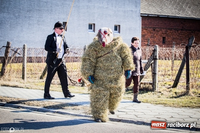 Zdjęcie w galerii na portalu naszraciborz.pl: Wodzenie niedźwiedzia - tradycyjne ostatki w Samborowicach wiadomości z regionu