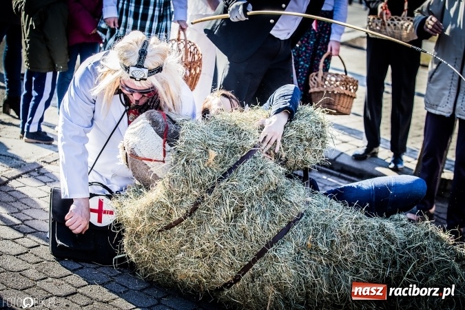 Zdjęcie w galerii na portalu naszraciborz.pl: Wodzenie niedźwiedzia - tradycyjne ostatki w Samborowicach wiadomości z regionu
