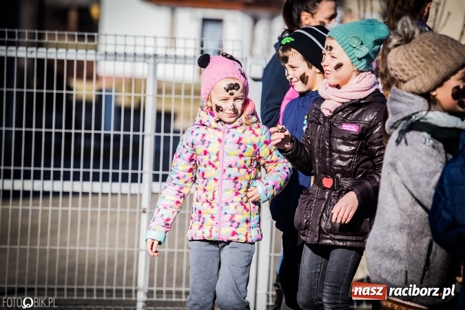 Zdjęcie w galerii na portalu naszraciborz.pl: Wodzenie niedźwiedzia - tradycyjne ostatki w Samborowicach wiadomości z regionu