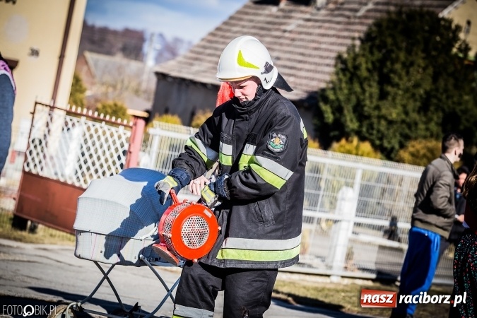 Zdjęcie w galerii na portalu naszraciborz.pl: Wodzenie niedźwiedzia - tradycyjne ostatki w Samborowicach wiadomości z regionu