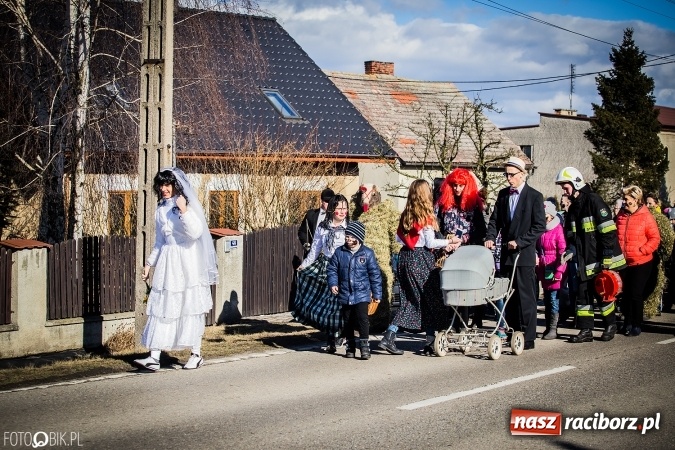 Zdjęcie w galerii na portalu naszraciborz.pl: Wodzenie niedźwiedzia - tradycyjne ostatki w Samborowicach wiadomości z regionu