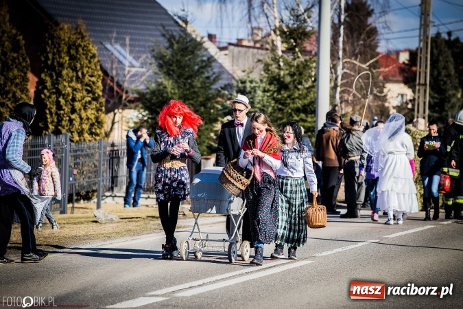 Zdjęcie w galerii na portalu naszraciborz.pl: Wodzenie niedźwiedzia - tradycyjne ostatki w Samborowicach wiadomości z regionu