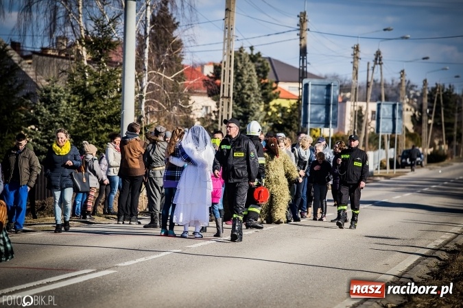 Zdjęcie w galerii na portalu naszraciborz.pl: Wodzenie niedźwiedzia - tradycyjne ostatki w Samborowicach wiadomości z regionu