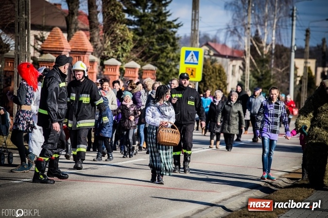 Zdjęcie w galerii na portalu naszraciborz.pl: Wodzenie niedźwiedzia - tradycyjne ostatki w Samborowicach wiadomości z regionu