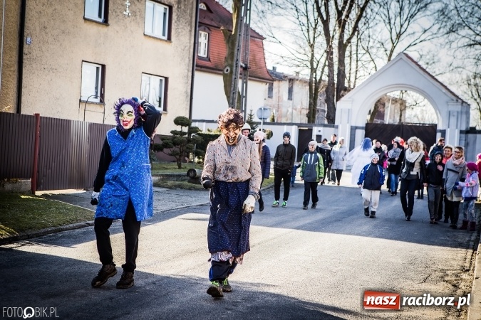 Zdjęcie w galerii na portalu naszraciborz.pl: Wodzenie niedźwiedzia - tradycyjne ostatki w Samborowicach wiadomości z regionu
