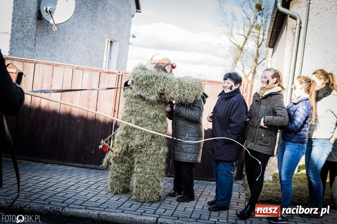 Zdjęcie w galerii na portalu naszraciborz.pl: Wodzenie niedźwiedzia - tradycyjne ostatki w Samborowicach wiadomości z regionu