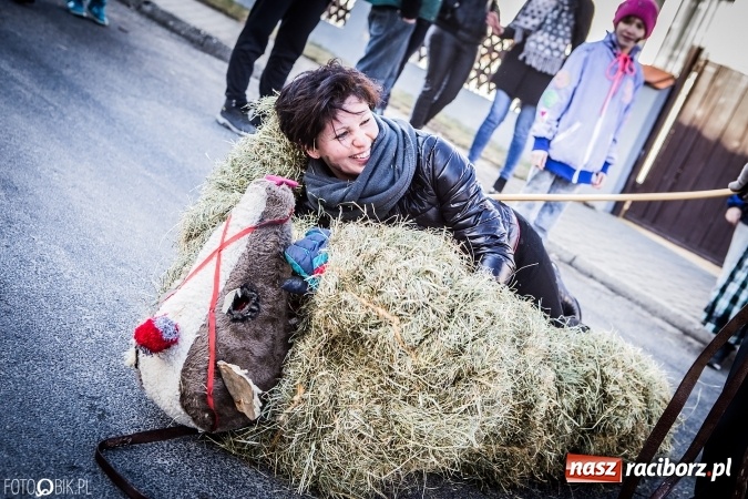 Zdjęcie w galerii na portalu naszraciborz.pl: Wodzenie niedźwiedzia - tradycyjne ostatki w Samborowicach wiadomości z regionu